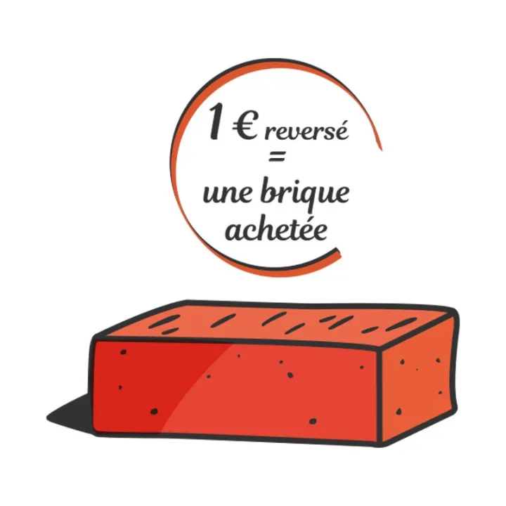 Don : 1 brique (1€) pour ASF