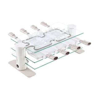 Raclette 2 Transparente