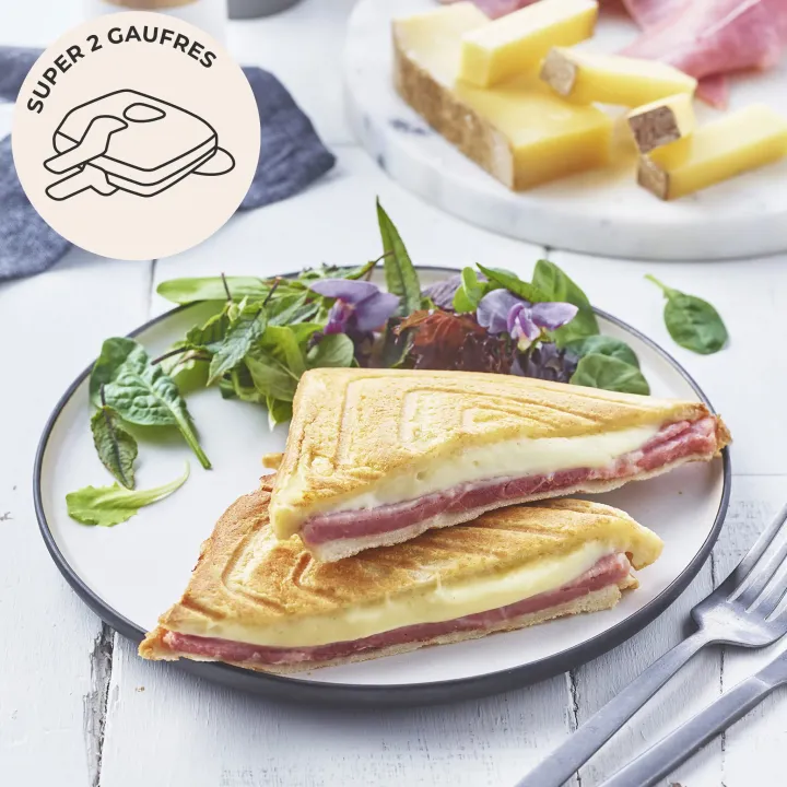 Sandwichplatten - Super 2 - Lagrange