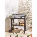 Plancha Pro - 65