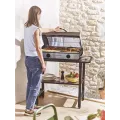 Plancha Pro - 65