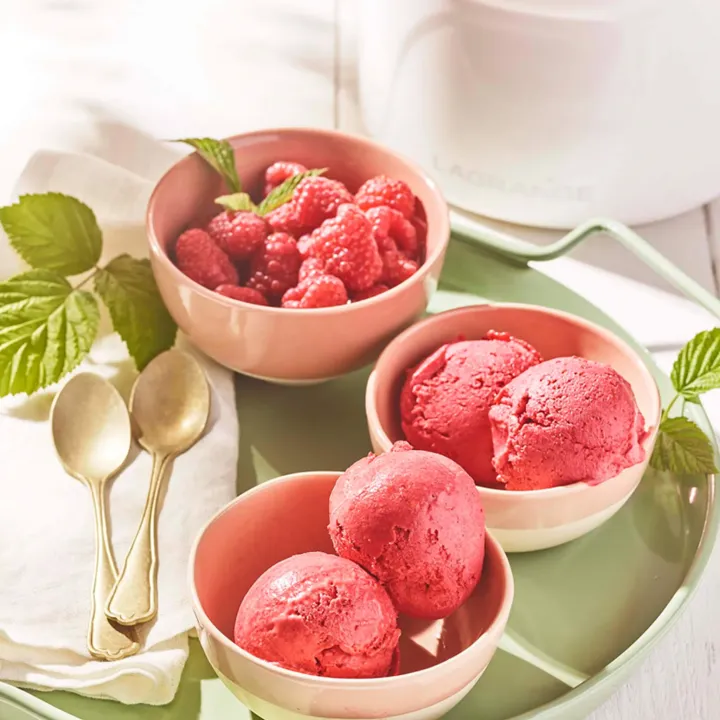 Sorbetière Framboise - Sorbets et Glaces fait maison