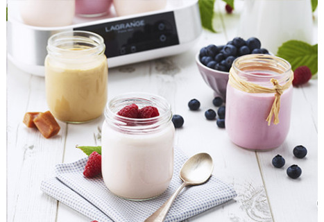 Fermente und Aromen für hausgemachten Joghurt - Lagrange