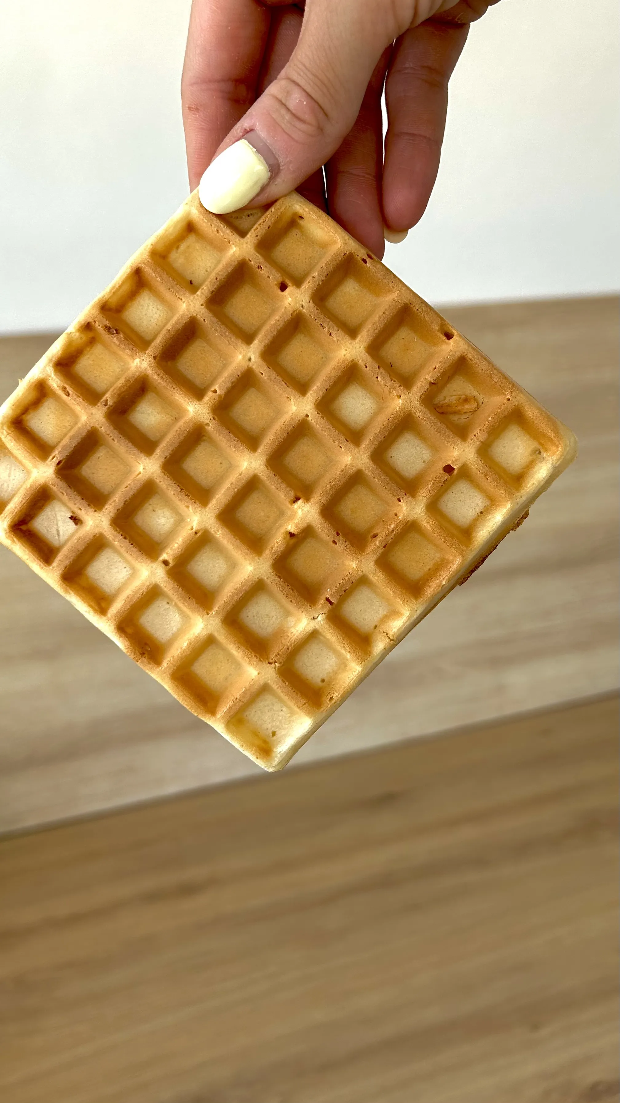 1-Mini Maxi - Panini - Croque-monsieur - Gaufres